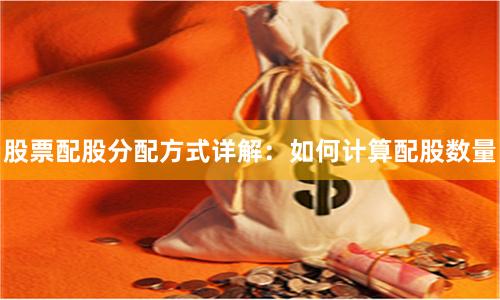 股票配股分配方式详解：如何计算配股数量