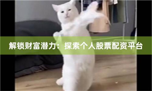 解锁财富潜力：探索个人股票配资平台