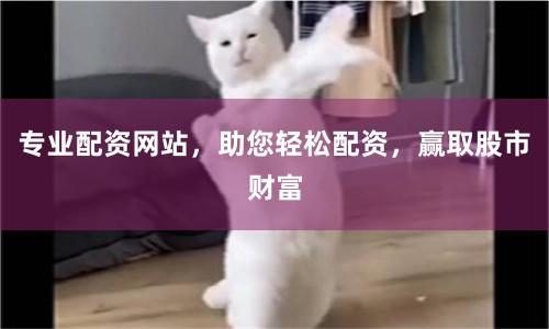 专业配资网站，助您轻松配资，赢取股市财富