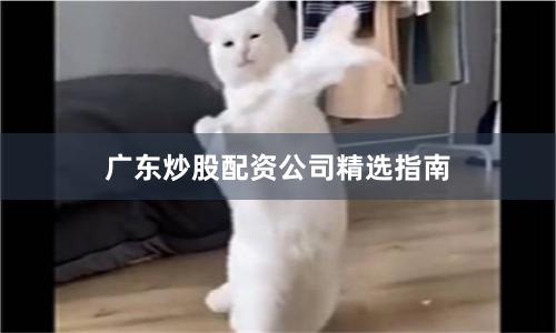 广东炒股配资公司精选指南